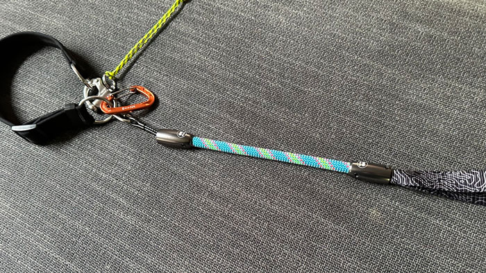 Speed Release Barn Hunt version with quick reattach clip